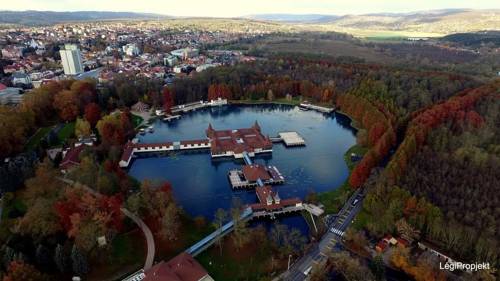 Фото 
Grape&Wine Guesthouse
