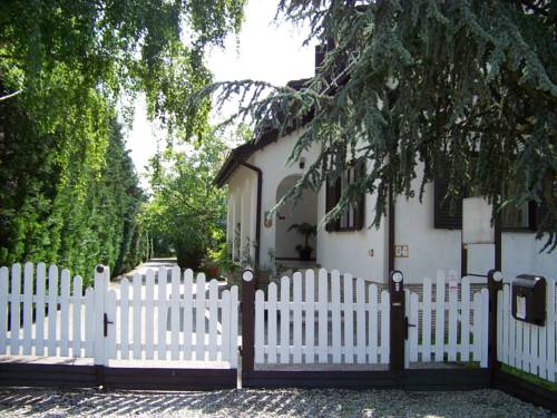 Фото 
Maya Panzio
