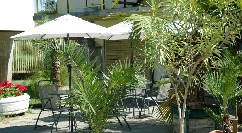 Фото 
Korona Panzio
