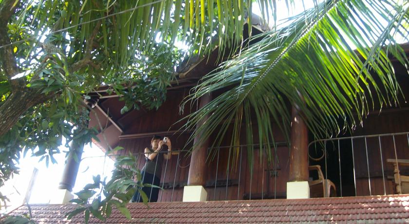 Фото 
Skyrathnam Homestay
