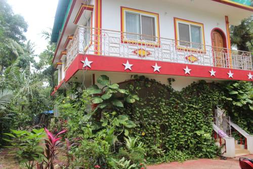 Фото 
Sweet Mango
