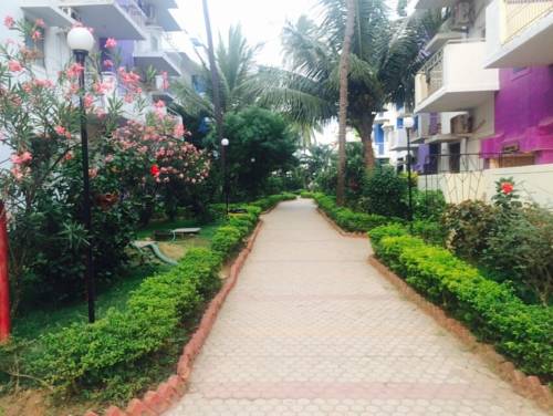 Фото 
B28 Green wood
