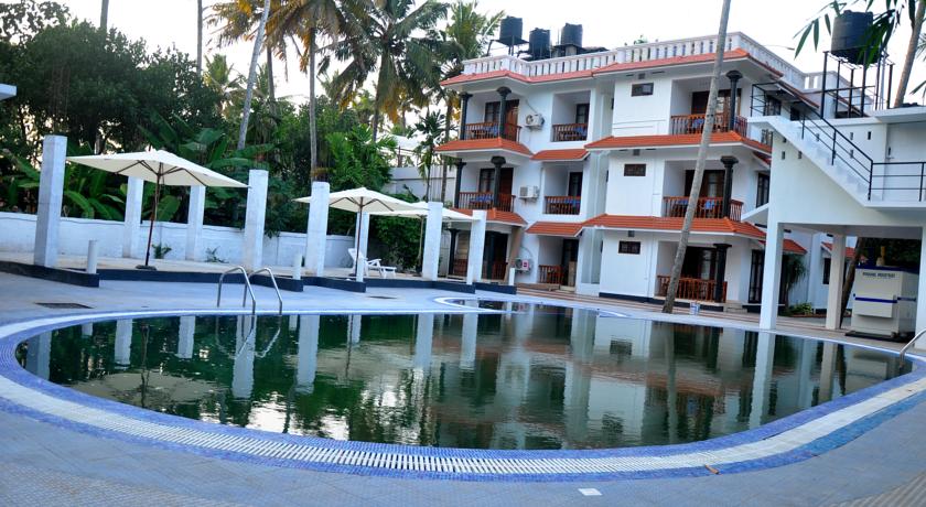 Фото 
Golden Turtles
