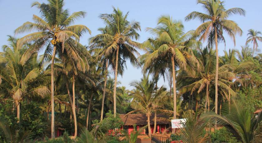 Фото 
Little India Beach Cottages
