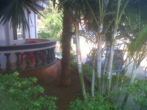 Фото 
Casa De Baga
