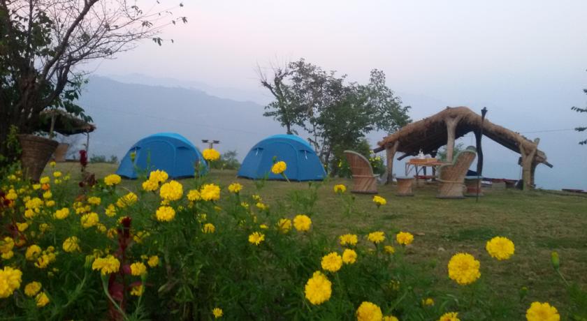 Фото 
Roma&#39;s Inn
