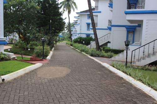 Фото 
Rococo Pelton
