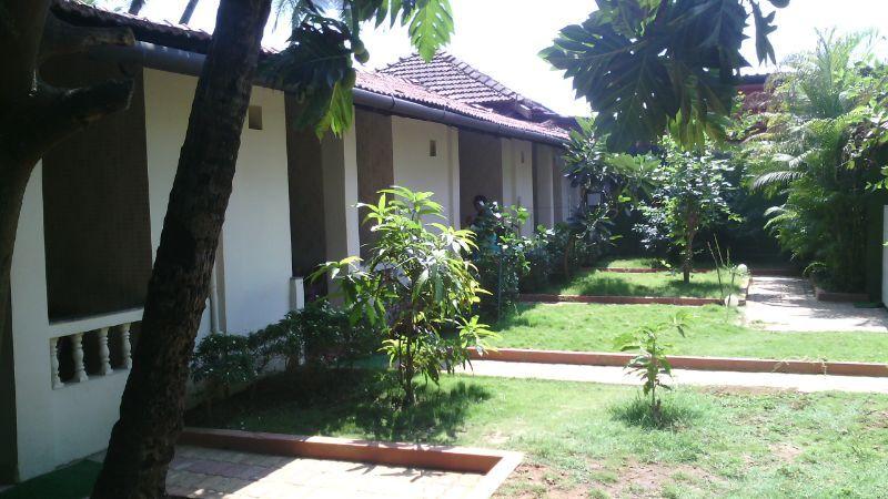 Фото 
Happy Panda Hostel
