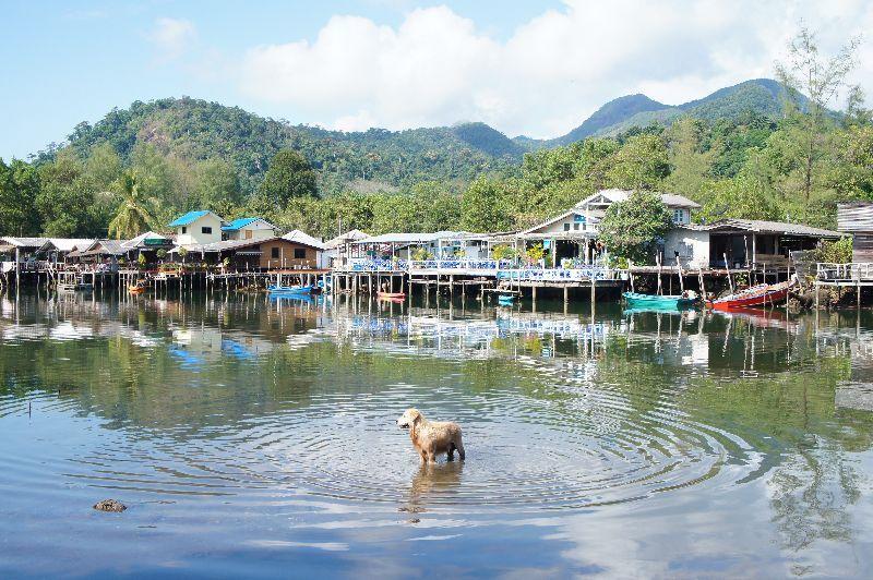 Фото 
Baan Rim Nam
