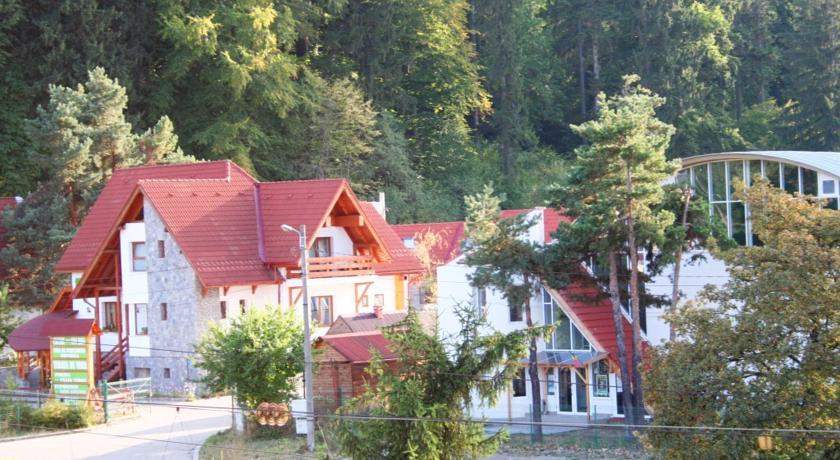 Фото 
Guesthouse Casa Baciu
