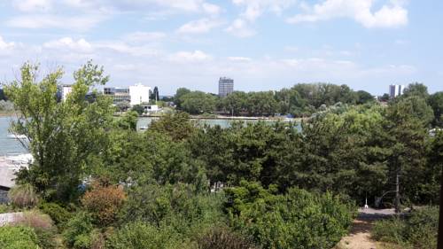 Фото 
Pensiunea Pura Vida
