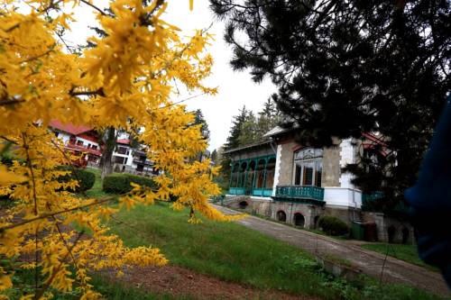 Фото 
Pensiunea Marina
