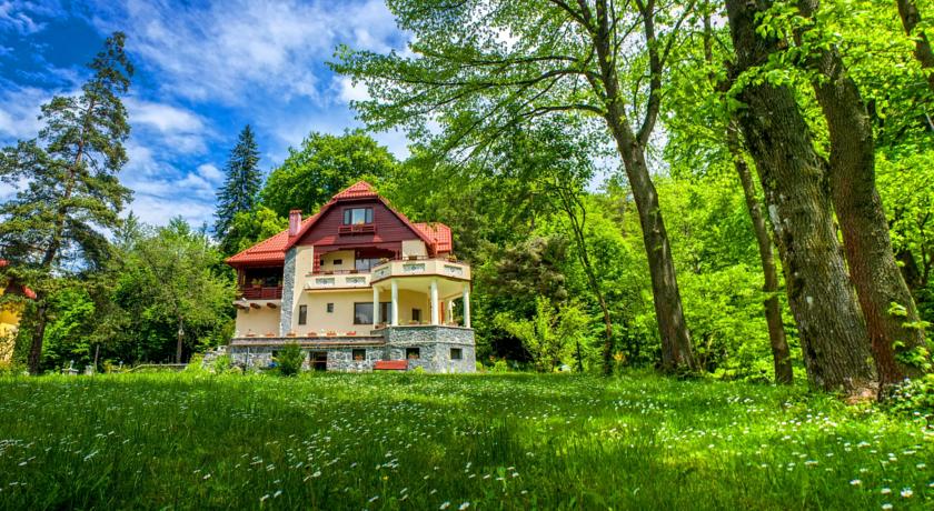 Фото 
Pension Mama Cozonacilor
