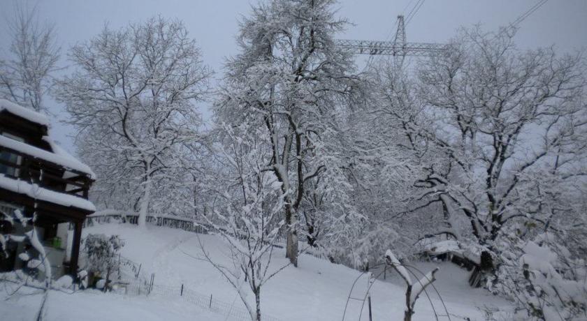 Фото 
Pensiunea Steluta
