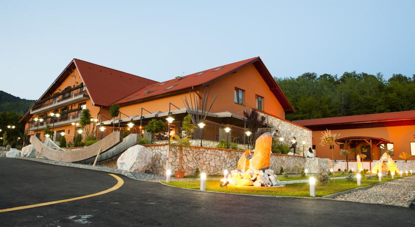 Фото 
Pensiunea Lelila Inn
