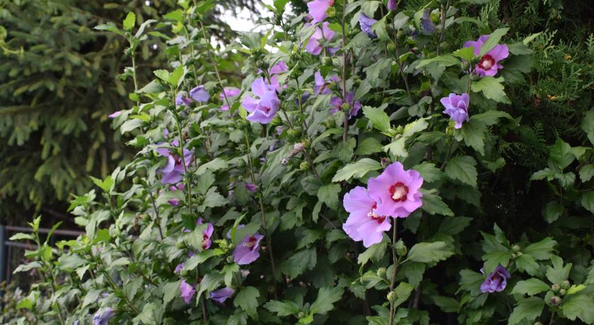 Фото 
Ana Studio Apartment
