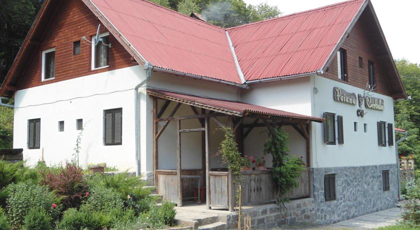 Фото 
Pension Pantheon
