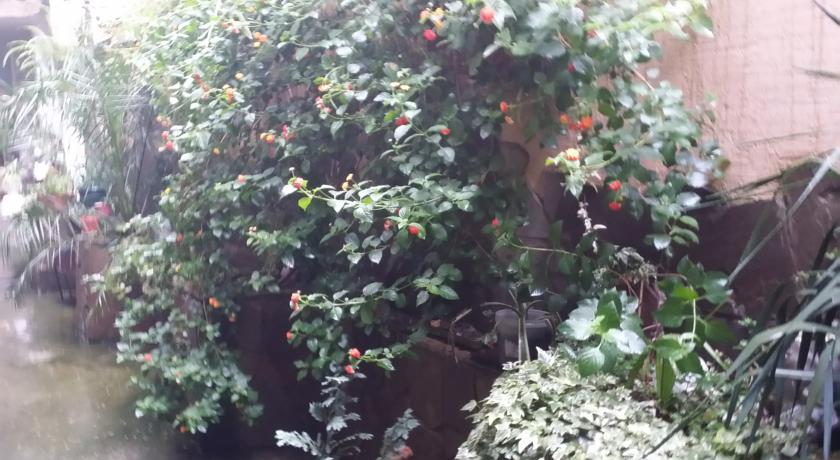 Фото 
Отель Гуру
