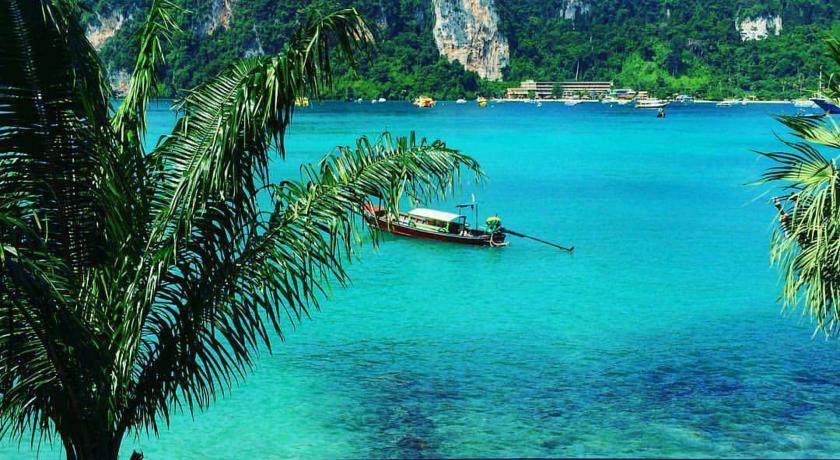 Фото 
COMA Lounge & Hostel
