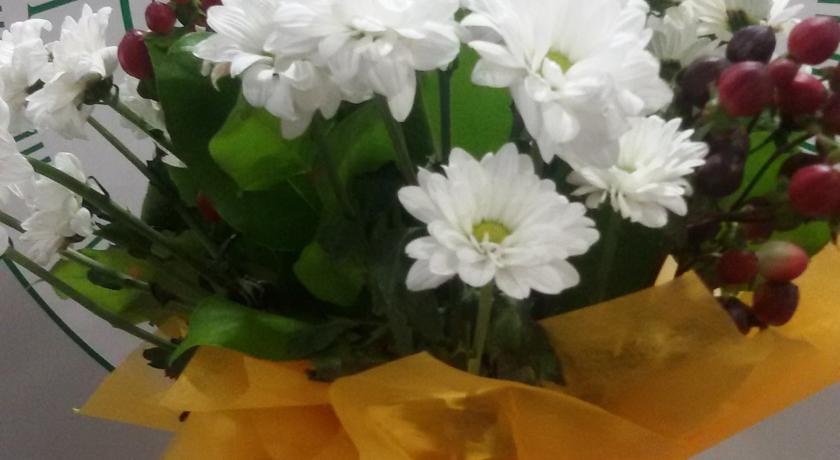 Фото 
Хостел Джинн
