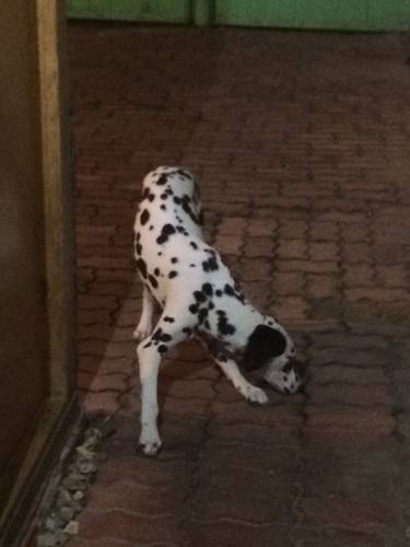 Фото 
Chaykovskogo 24 Inn
