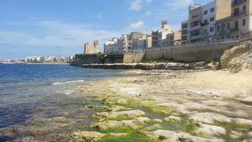 Фото 
Ta&#39;Filomena
