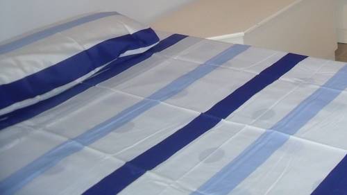 Фото 
Globetrotters
