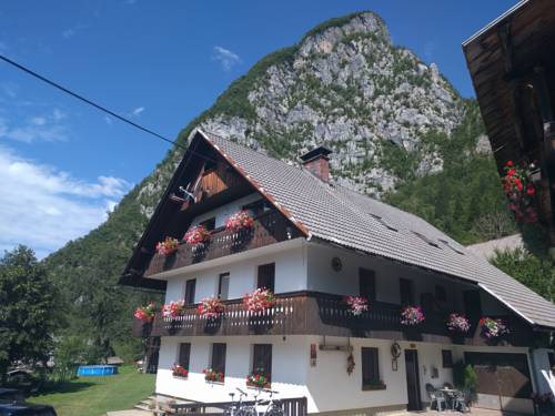 Фото 
Youth Hostel Nika
