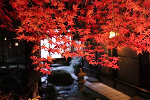 Фото 
HOTEL MYSTAYS Otemae
