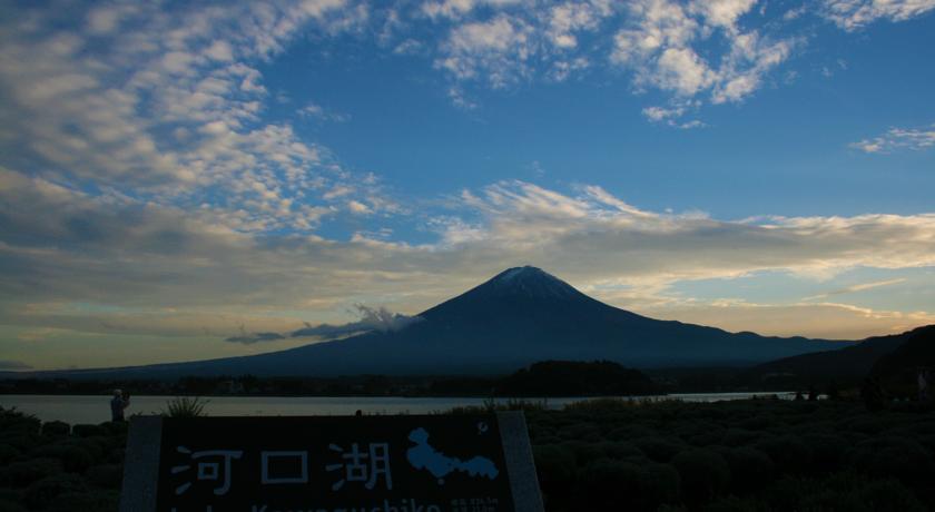 Фото 
Hotel Famitic
