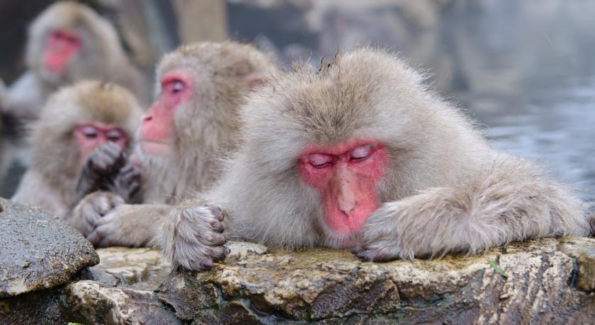 Фото 
HOTEL MYSTAYS Kanazawa Castle
