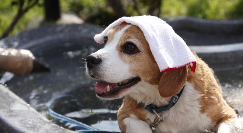 Фото 
Nara Guesthouse 3F (B&B)
