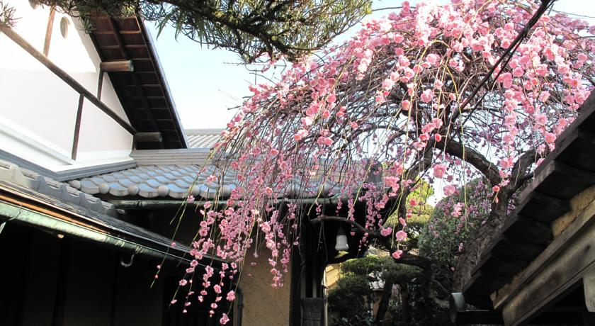 Фото 
Bernardi Rooms
