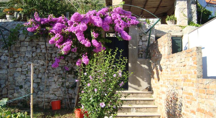 Фото 
Resort del Mar
