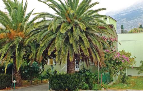 Фото 
Apartments Cvek
