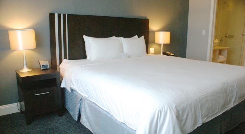 Фото 
The Sea Turtle
