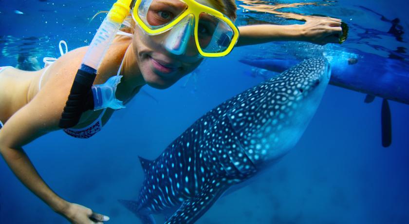 
Dharavandhoo Stay
