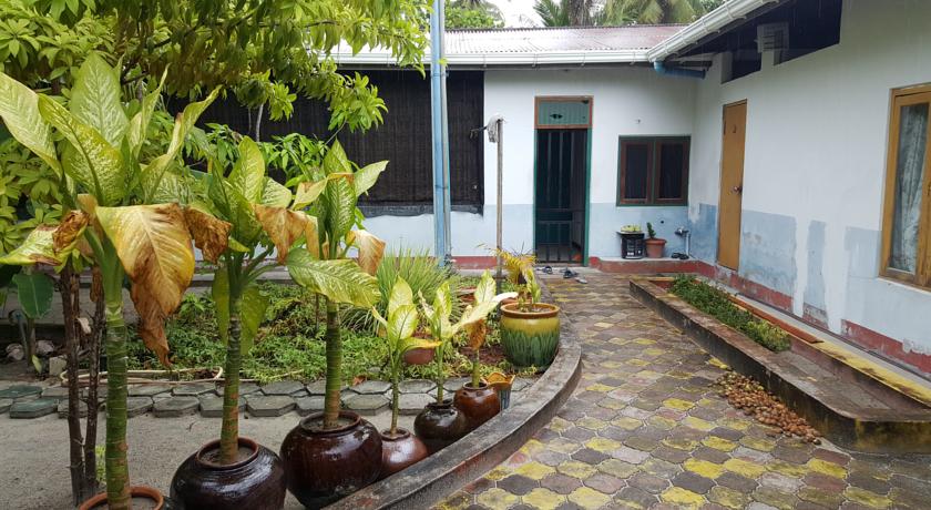 
Rehiveli
