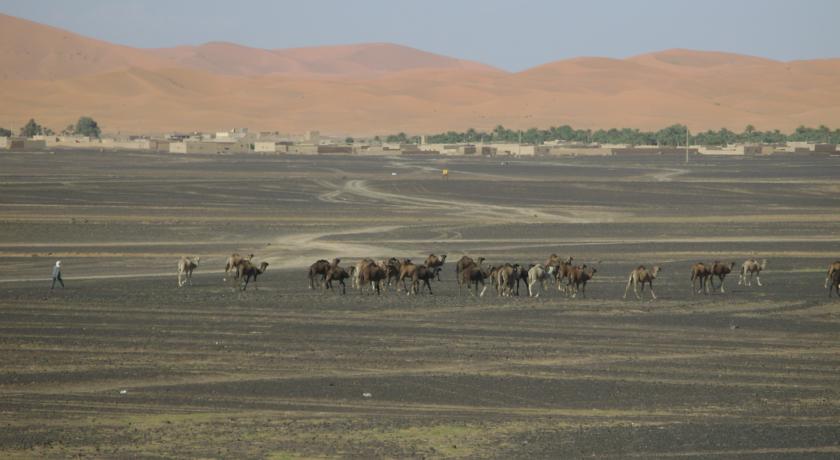 Фото 
Hotel Bravo Hammamet
