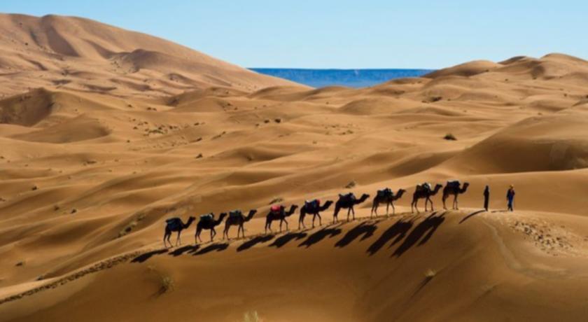 Фото 
Appartement Excellent
