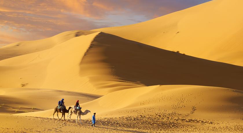 Фото 
Hotel El Fell
