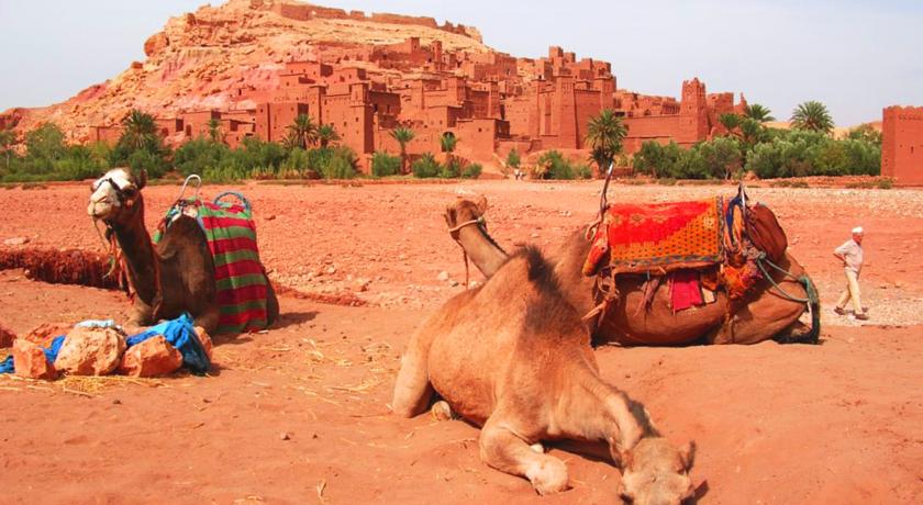 Фото 
Omar Khayam Club
