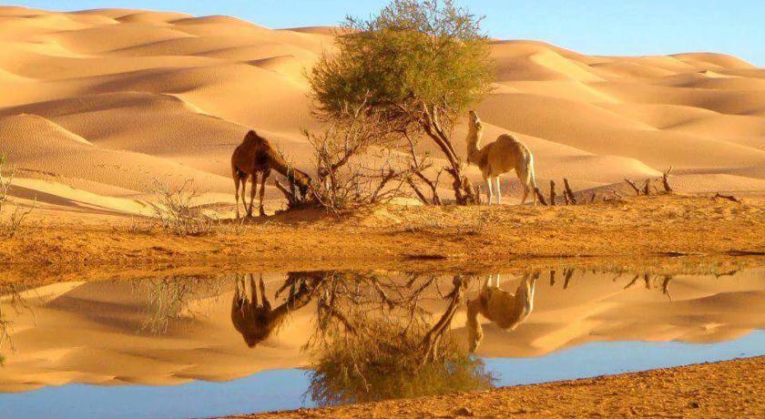 Фото 
Mirage Beach Club
