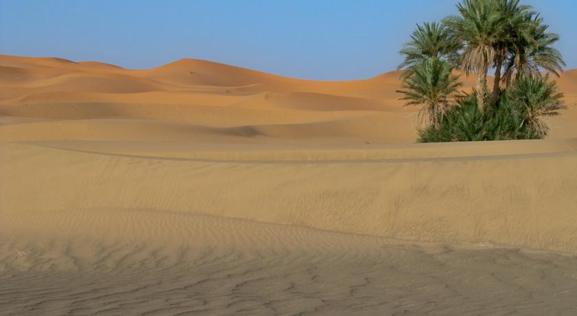 Фото 
Dar El Bhar
