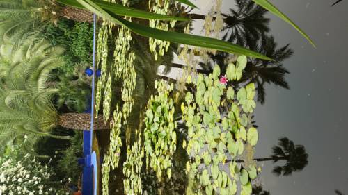 Фото 
El Kantaoui Center
