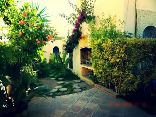 Фото 
Iberostar Mehari Djerba
