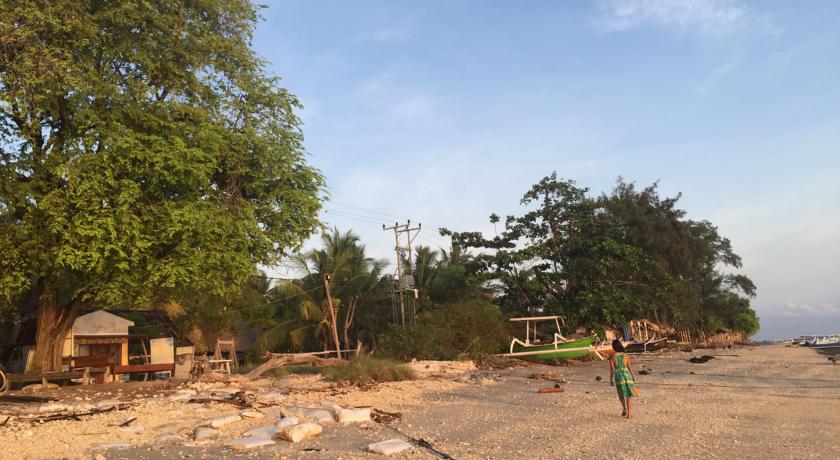 Фото 
Dolphin Hotel
