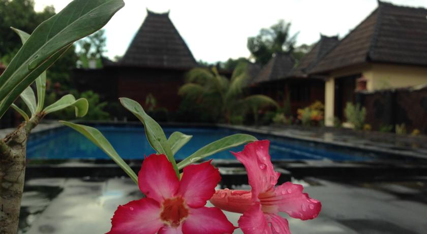 Фото 
Nuzha Hotel Apartments
