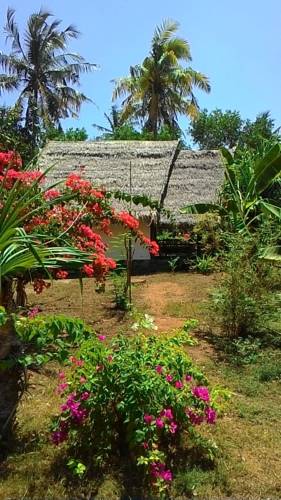 Фото 
Salalah Beach Apartment
