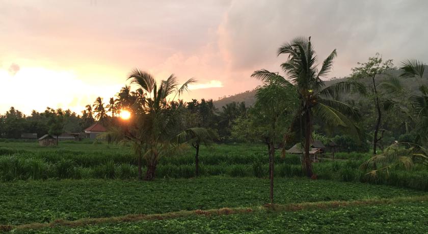 Фото 
Muscat International Hotel
